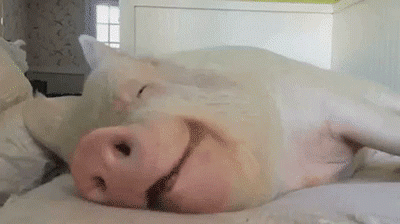 Прикрепленное изображение: taras.gif